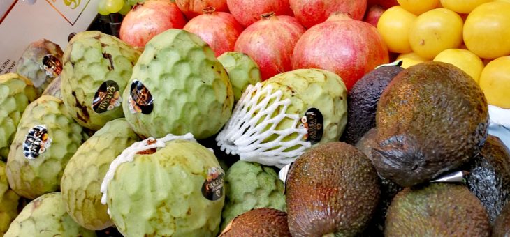 Owoce egzotyczne w Maladze